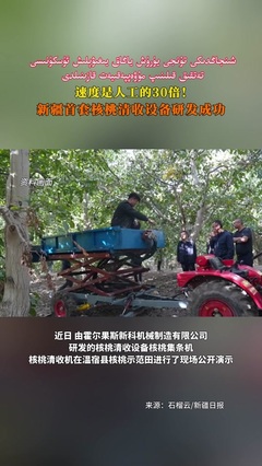 风灾酿悲剧与城市公共安全的深层思考